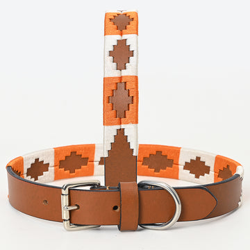 BAR H EQUINE Western Genuine Leather Dog Collar Embroidered Orange & White